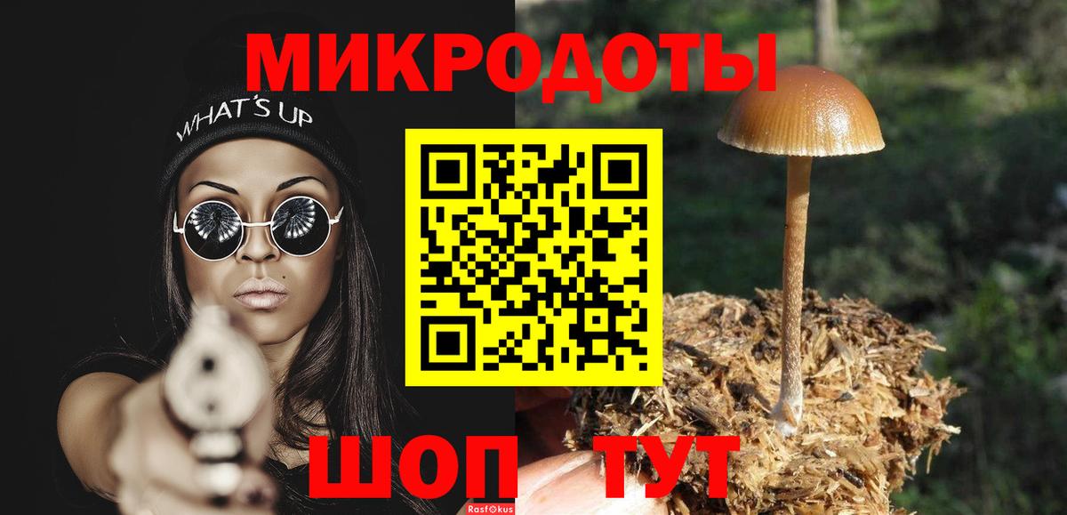 Галлюциногенные грибы Cubensis  Галлюциногенные грибы MAGIC MUSHROOMS  Вход с VPN  Будённовск 
