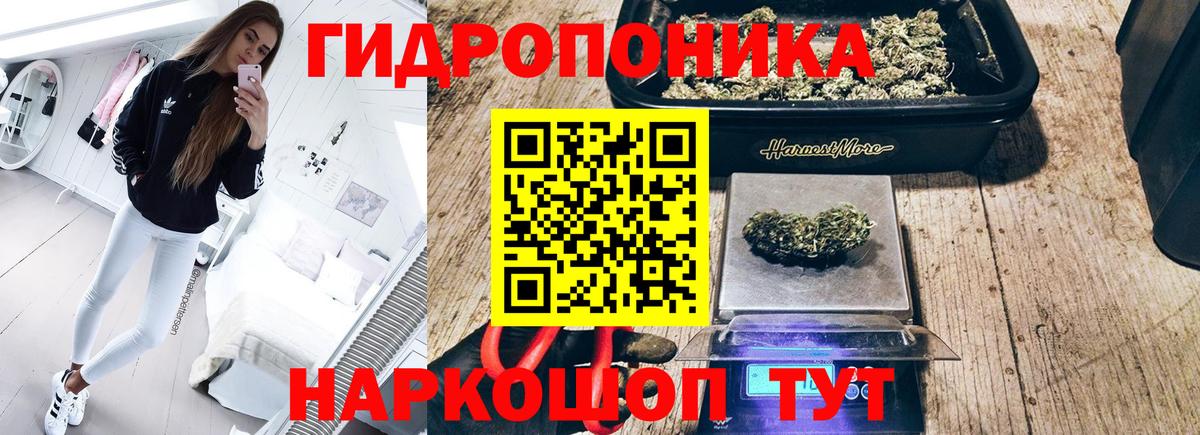 Каннабис планчик Будённовск